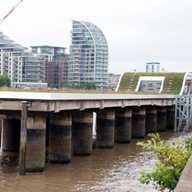 Fulham Jetty becomes haven for wildlife after Bauder green retrofit