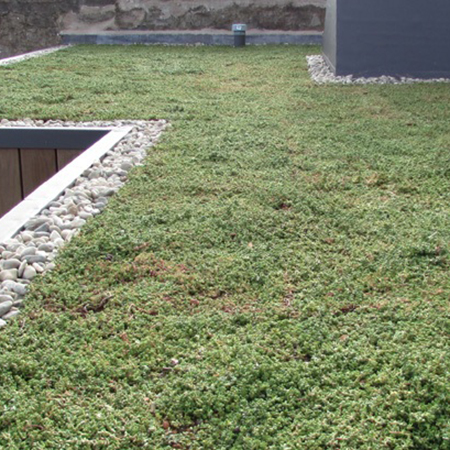 RENOLIT ALKORGREEN Green Roof system provides environmental advantages