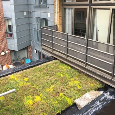 Wallbarn M-Tray® green roof for building refurbishment