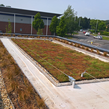 Starbucks drive-thru gets sustainable with a Wallbarn green roof