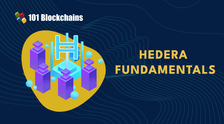 Hedera Fundamentals