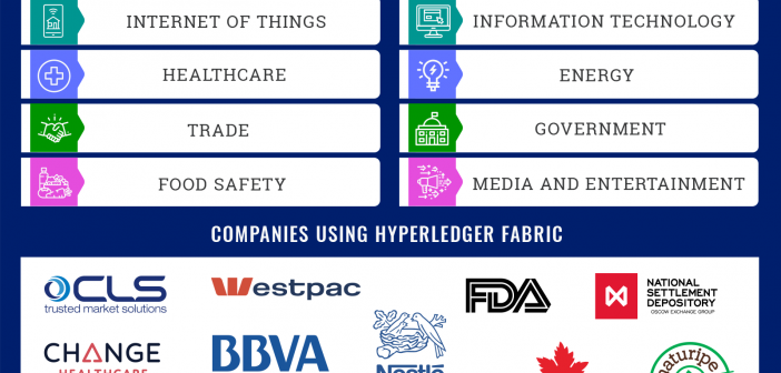 hyperledger fabric use cases and companies