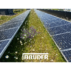 Enhance the durability of your blue or green roof with Bauder Total Green Roof System PLUS