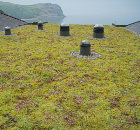Icopal Launches A New Generation In Green Roofs