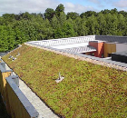 Blackdown Green Roof Chosen for Award-Winning Healthcare Project