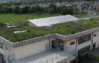 Bauder green roof on Sharrow Primary School declared a Local Nature Reserve
