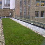 Eco-Roof green roof system used on Guildhall