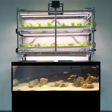 New Agri-tech lab to use HydroGarden’s innovations