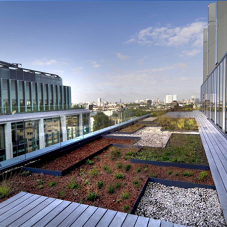 Bio-Diverse Green Roof for Regents Place