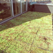 Modular green roof for Mayfair hotel
