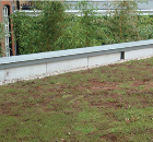 Planted Roof Systems