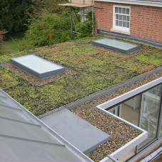 Are single ply flat roofing membranes suitable for use in green roof systems? [BLOG]